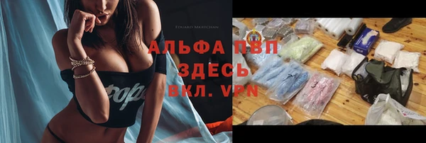 ПСИЛОЦИБИНОВЫЕ ГРИБЫ Вязники