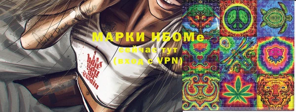 ПСИЛОЦИБИНОВЫЕ ГРИБЫ Вязники