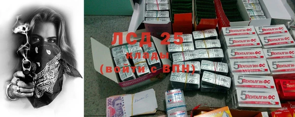 ПСИЛОЦИБИНОВЫЕ ГРИБЫ Вязники