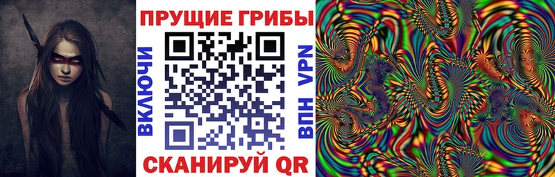 Псилоцибиновые грибы Psilocybe Купить где Ханты-Мансийск